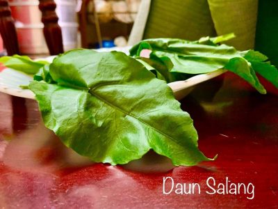 daun salang